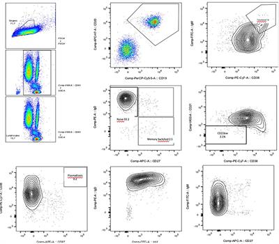 Case Report: A child with NFKB1 haploinsufficiency explaining the linkage between immunodeficiency and short stature